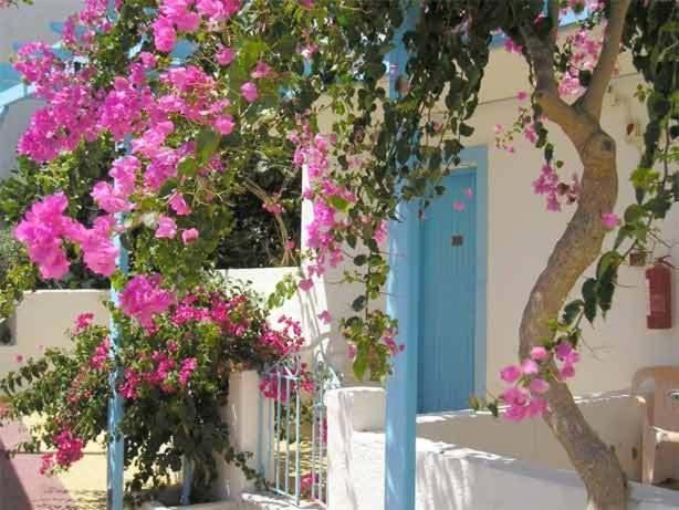 Castelia Bay Hotel Amoopi Exterior foto